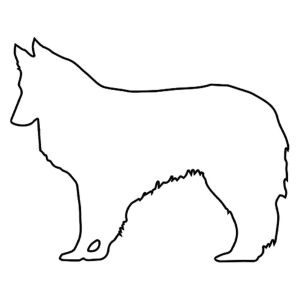 Hunderassen (Dogs) Shetland Sheepdog
