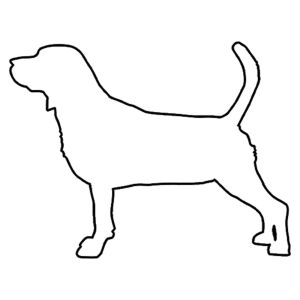 Hunderassen (Dogs) Beagle