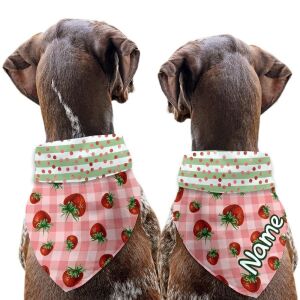 Hundehalstuch (Nähset) Erdbeeren XS (Wunschname)