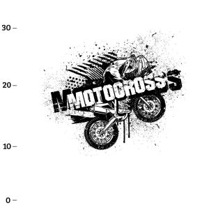 Motocross, Jersey (Panel)