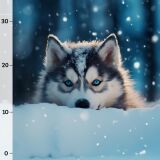 Husky, Arctic Animals (Panel) Sommersweat