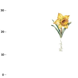 März, Narzisse  (Birthflowers) XL-Panel Jersey