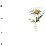 April, Gänseblümchen  (Birthflowers) XL-Panel Jersey