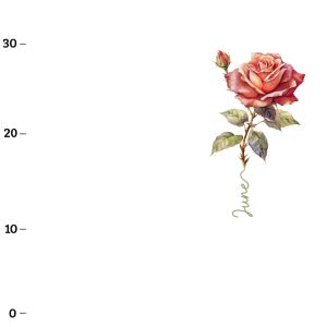 Juni, Rose  (Birthflowers) XL-Panel Jersey
