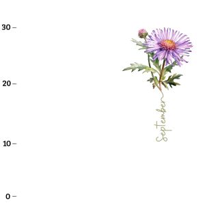 September, Aster  (Birthflowers) XL-Panel Jersey