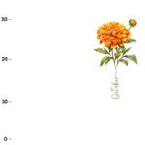 Oktober, Ringelblume  (Birthflowers) XL-Panel Jersey