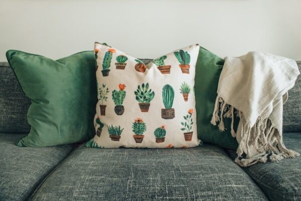 Auf einem Sofa liegen zwei grüne Kissen, als auch eines mit Kaktus-Druck