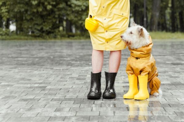 Eine Person im Regenmantel steht neben einem Hund, der ebenfalls Regenkleidung trägt