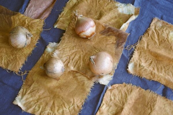 Zwiebeln liegen auf bräunlich gefärbten Stoffstücken 