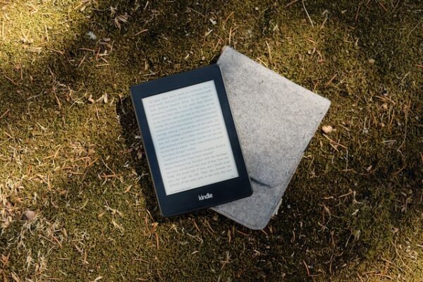 Auf einer Wiese liegt eine graue Tablethülle und darauf ein E-book-Tablet