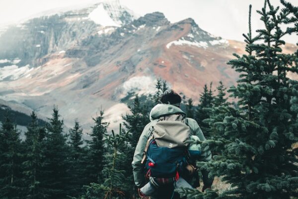 Ein Wanderer mit Rucksack und Softshelljacke steht mit dem Rücken zur Kamera in einem Wald und blickt auf ein fernes Gebirge